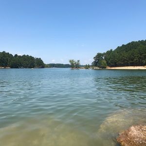 Meet your Posher, Lee